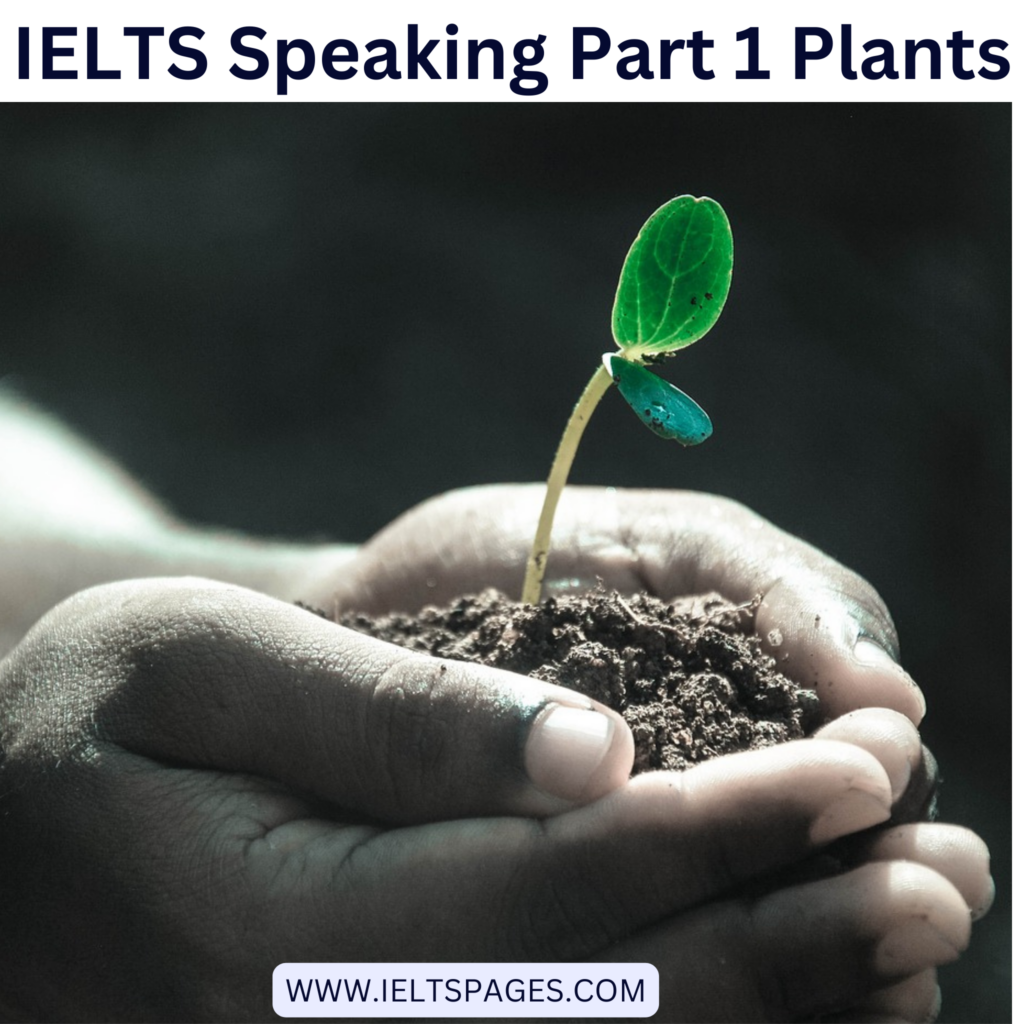 IELTS Speaking Part 1 Plants