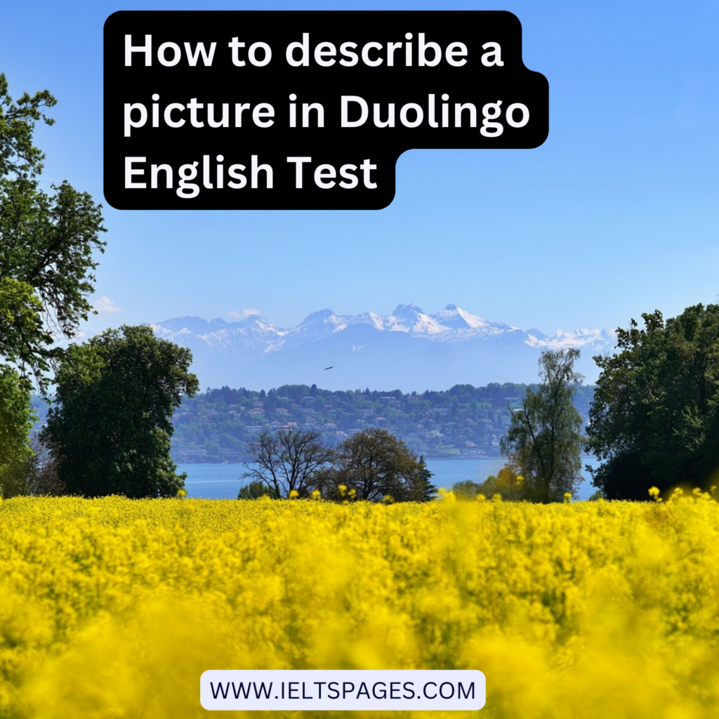 How to describe a picture in Duolingo English Test with samples