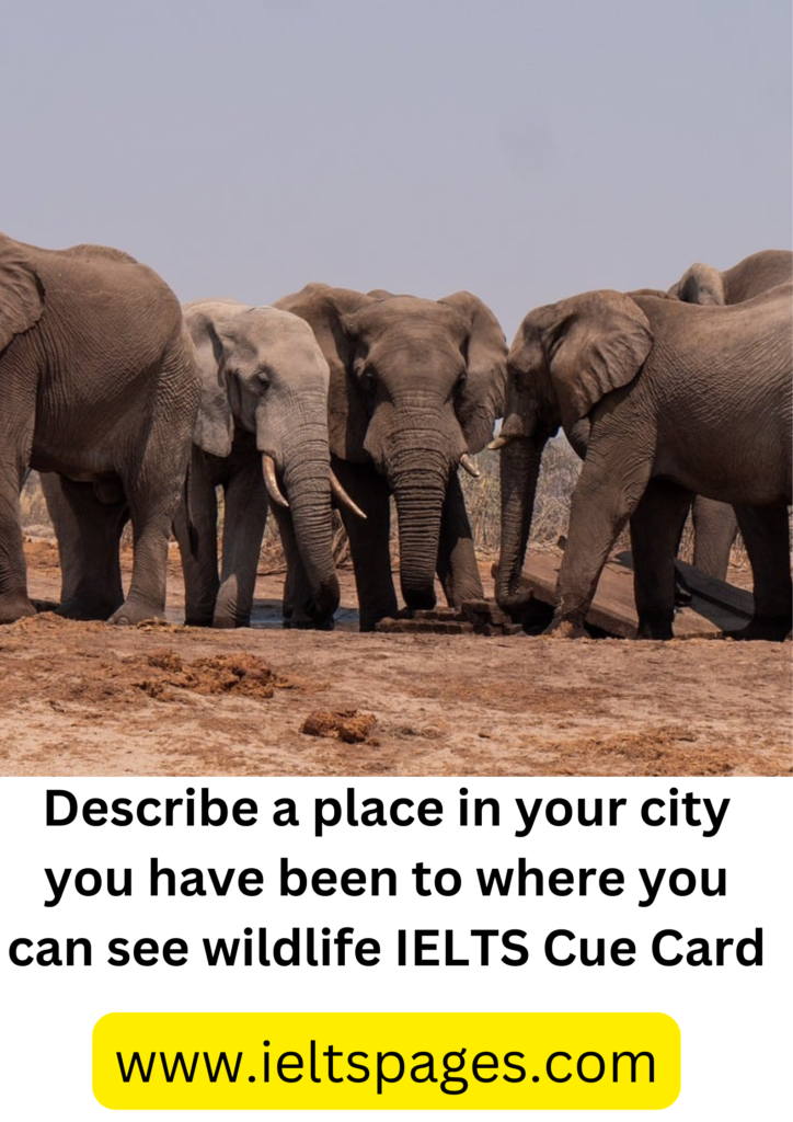 Describe a place in your city you have been to where you can see wildlife IELTS Cue Card